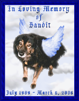 To Bandit's page